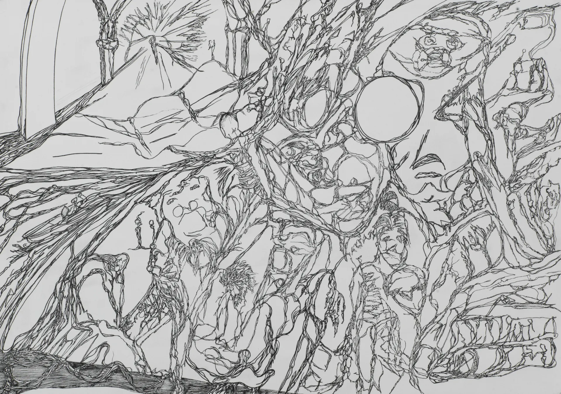 Pensées arborescentes - 2018